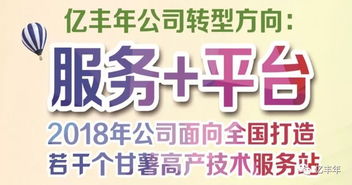 2019全國征集甘薯一站式技術(shù)服務(wù)站 助推甘薯產(chǎn)業(yè)高質(zhì)量發(fā)展