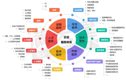 園區(qū)企業(yè)服務(wù)體系建設(shè)的理論框架與實踐案例分析——聚焦技術(shù)服務(wù)
