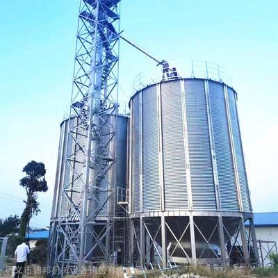 糧食鋼板倉 現(xiàn)代化平底倉與糧油倉儲服務(wù)解析——以3000噸小麥倉、水稻倉為例